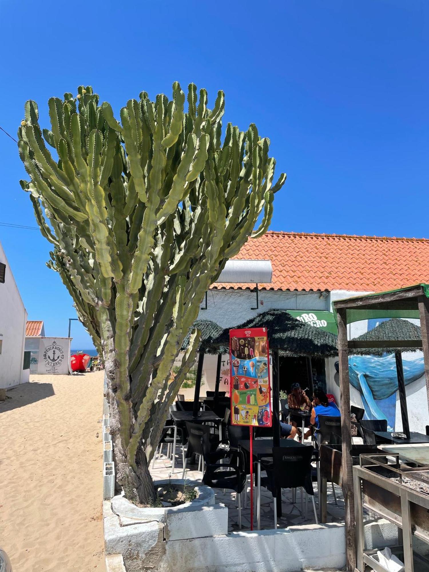 קוסטה דה קפאריקה Sea View & Sundown, 150M From The Beach And Surf Spots מראה חיצוני תמונה
